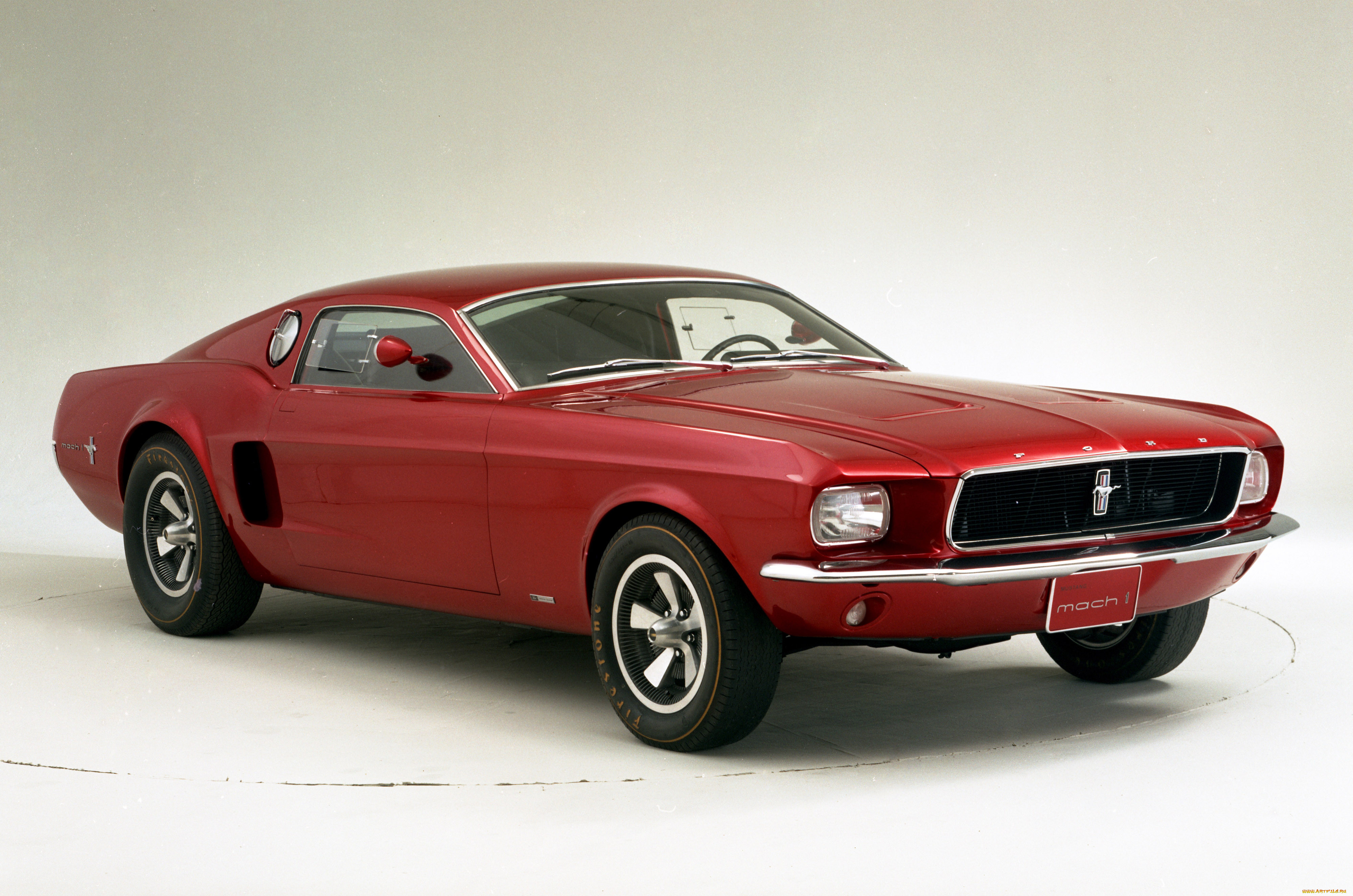 , mustang